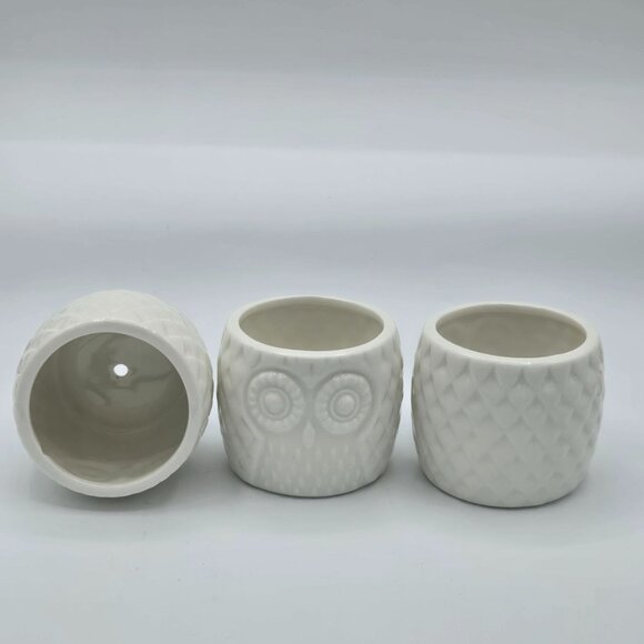 Set of 3 small adorable white ceramic owl planter Succulent Pots WHIMSICAL! - Picture 4 of 6